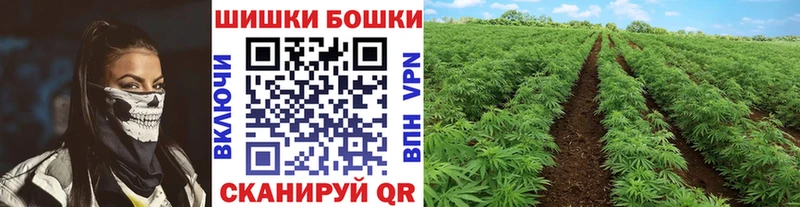блэк спрут как зайти Нея МАРИХУАНА конопля